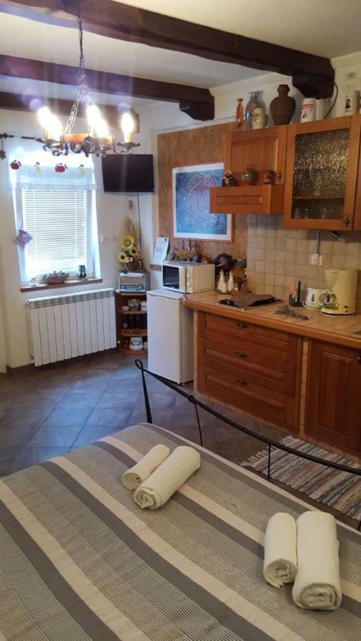 Apartman Ruza 3 Poljane Dış mekan fotoğraf